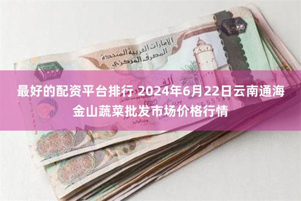 最好的配资平台排行 2024年6月22日云南通海金山蔬菜批发市场价格行情