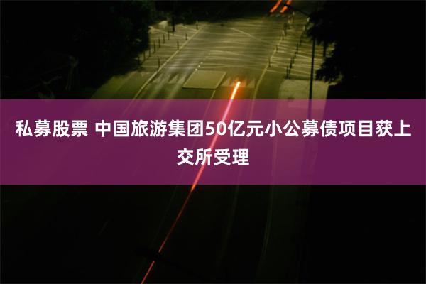 私募股票 中国旅游集团50亿元小公募债项目获上交所受理