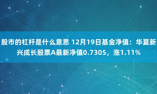 股市的杠杆是什么意思 12月19日基金净值：华夏新兴成长股票A最新净值0.7305，涨1.11%