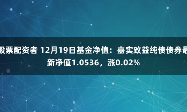 股票配资者 12月19日基金净值：嘉实致益纯债债券最新净值1.0536，涨0.02%