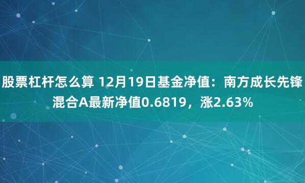 股票杠杆怎么算 12月19日基金净值：南方成长先锋混合A最新净值0.6819，涨2.63%