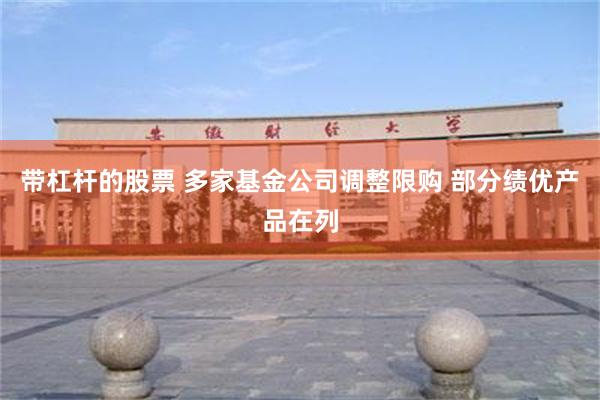 带杠杆的股票 多家基金公司调整限购 部分绩优产品在列