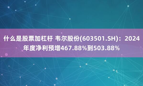 什么是股票加杠杆 韦尔股份(603501.SH)：2024年度净利预增467.88%到503.88%