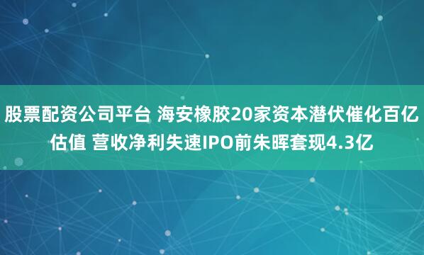 股票配资公司平台 海安橡胶20家资本潜伏催化百亿估值 营收净利失速IPO前朱晖套现4.3亿